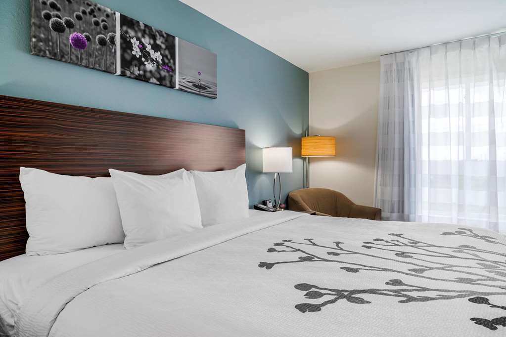 Sleep Inn & Suites Near Westchase Houston Værelse billede