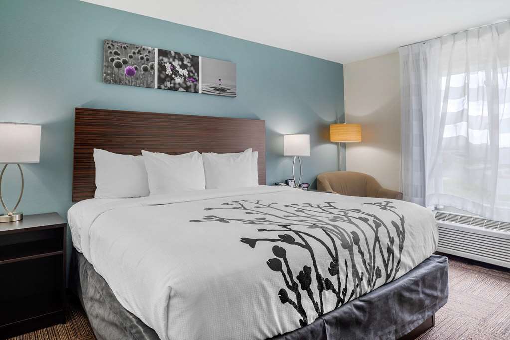 Sleep Inn & Suites Near Westchase Houston Værelse billede